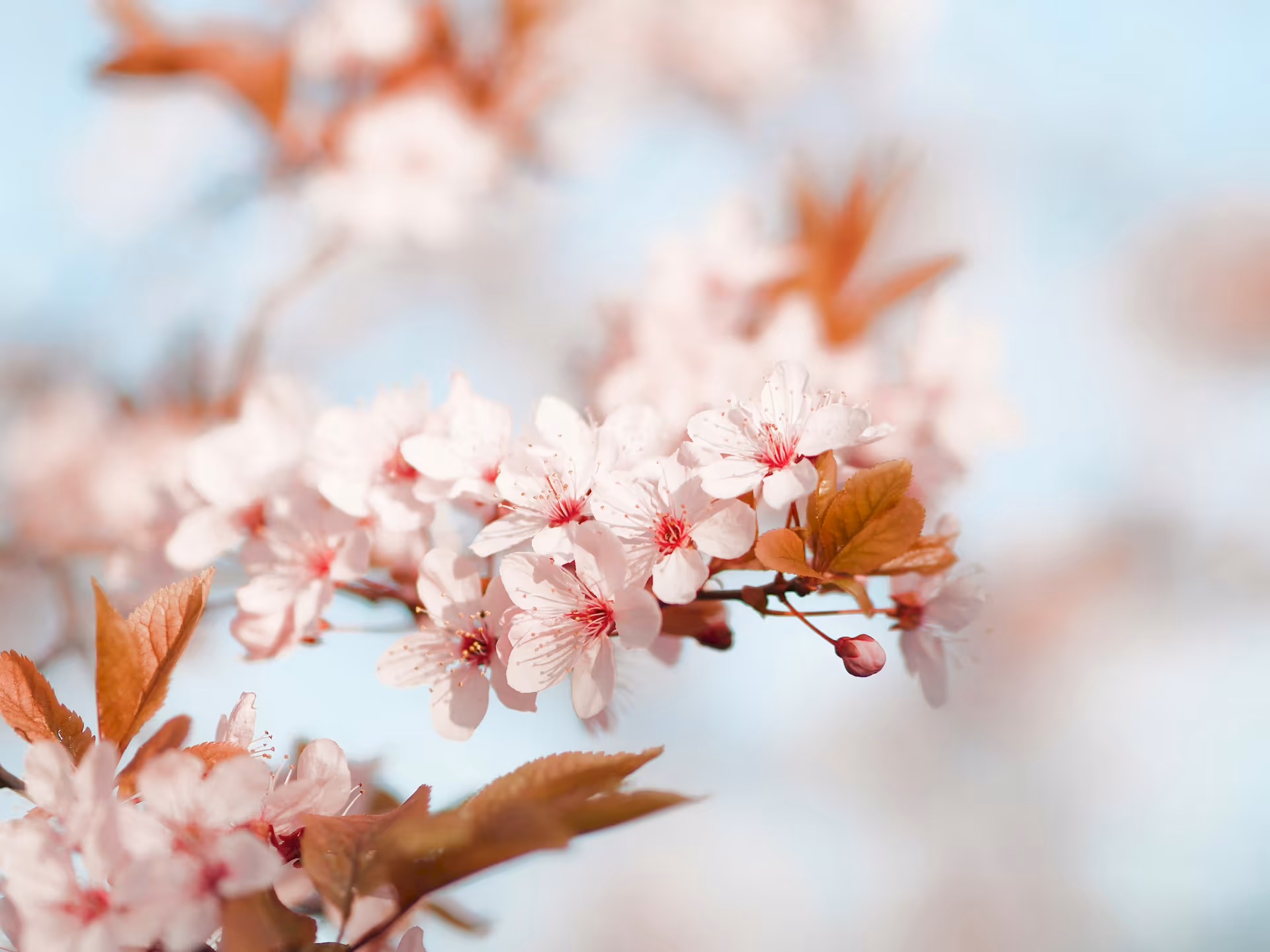 从利弗莫尔的股民分类看交易陷阱